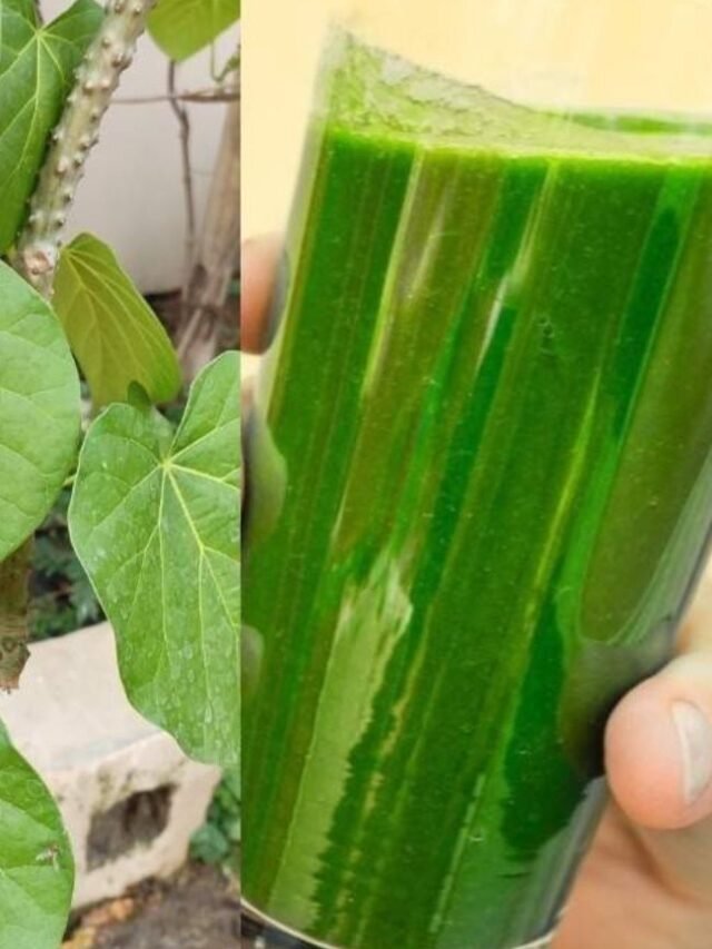 गर्मियों में कैसे दूर करें डिहाइड्रेशन – Dehydration