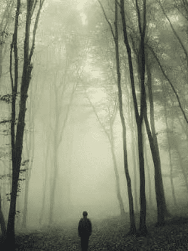 गुजरात की 5 भूतिया जगह – 5 Horror Spots at Gujrat