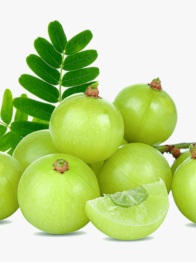 आंवला के 10 फायदे – Benefits of Amla
