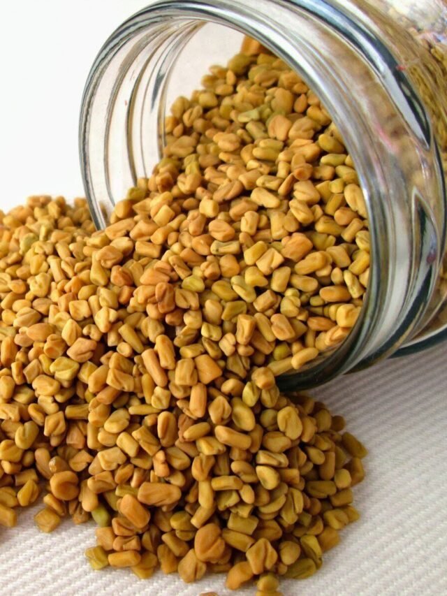 मेथी के बीज के फायदे – Benefits of Fenugreek Seeds