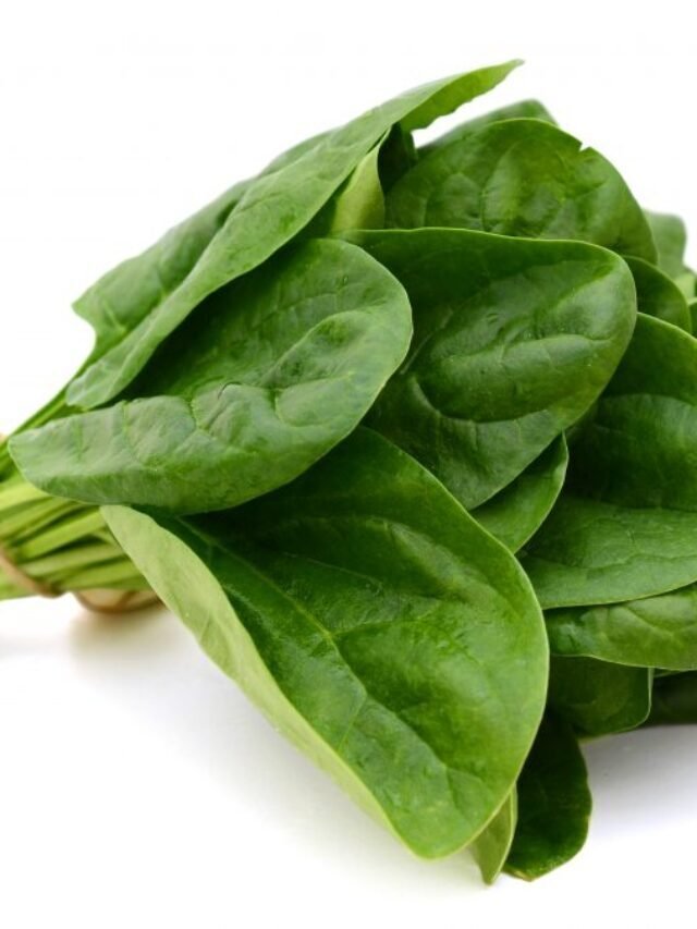 पालक के फायदे – Benefits of Spinach(palak)