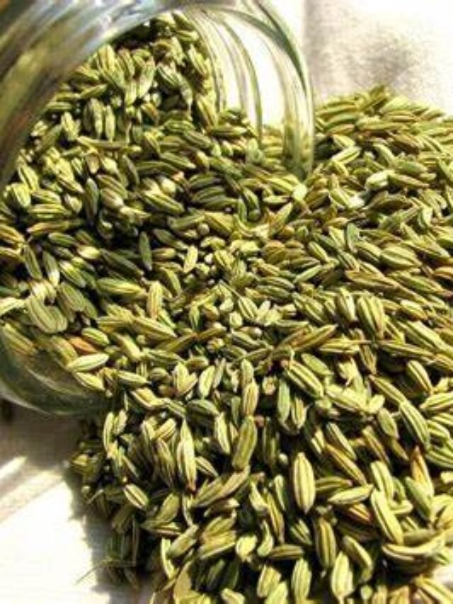 सौंफ के फायदे – Benefits of Fennel