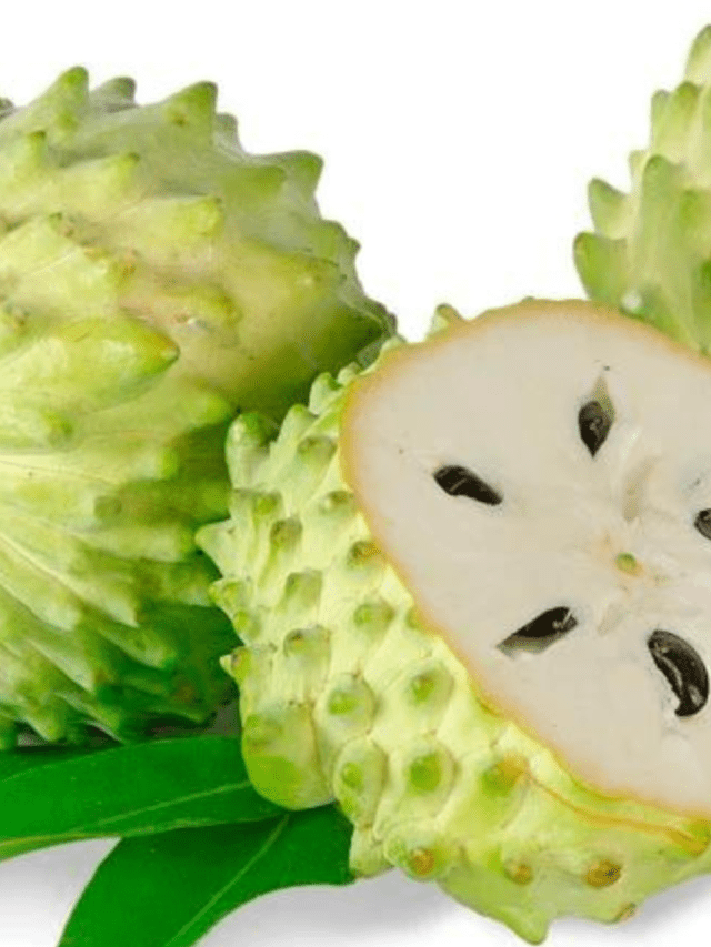 benefits-of-custard-apple-hindi-gupsup