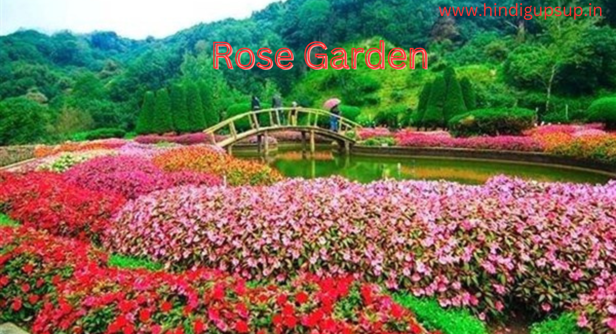 ऊटी में घूमने योग्य जगह - 7 Places to Visit in Ooty