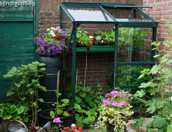 Read more about the article छोटे से गार्डन को कैसे बनाये खूबसूरत – How to Decorate Small Garden