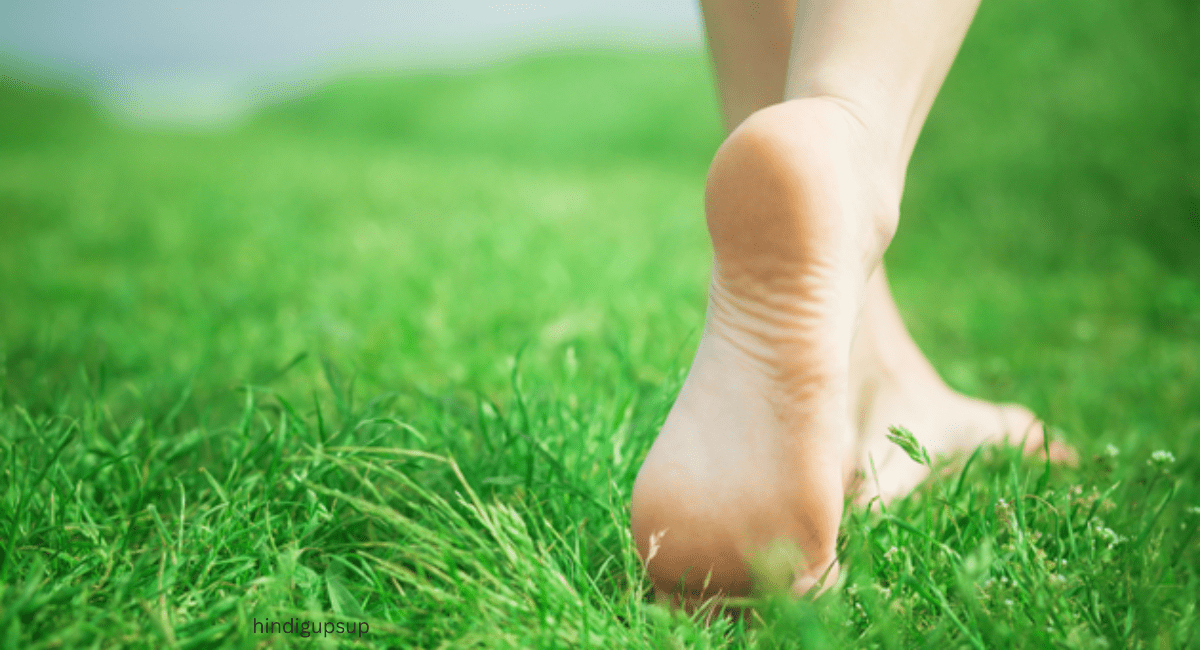  सुबह हरी घास पर चलने के असरदार फायदे - Benefits of Walking on Grass