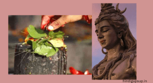 Read more about the article शिवलिंग पर बेलपत्र चढ़ाने के नियम – Benefits of Offering Belpatra on Shivling