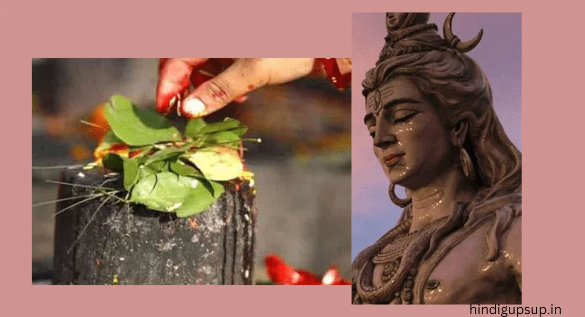 शिवलिंग पर बेलपत्र चढ़ाने के नियम - Benefits of Offering Belpatra on Shivling 1 शिवलिंग पर बेलपत्र चढ़ाने के नियम - Benefits of Offering Belpatra on Shivling