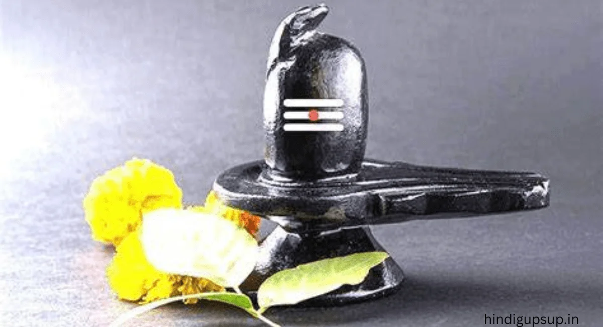 शिवलिंग पर बेलपत्र चढ़ाने के नियम - Benefits of Offering Belpatra on Shivling 2 शिवलिंग पर बेलपत्र चढ़ाने के नियम - Benefits of Offering Belpatra on Shivling