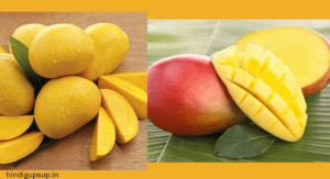 Read more about the article आम खाने के 8 फायदे – 8 Benefits of Mango