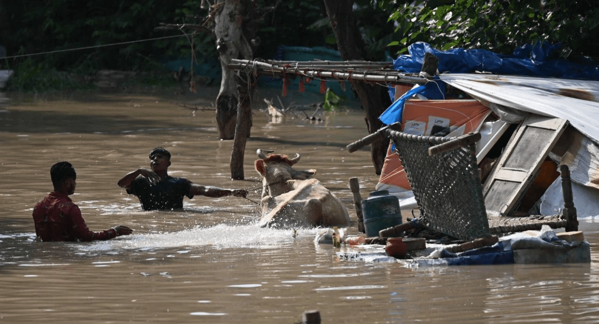 IUCN : रिपोर्ट के अनुसार भारत में आपदा का खतरा - IUCN: The Danger of Disaster in India 4 IUCN : रिपोर्ट के अनुसार भारत में आपदा का खतरा - IUCN: The Danger of Disaster in India