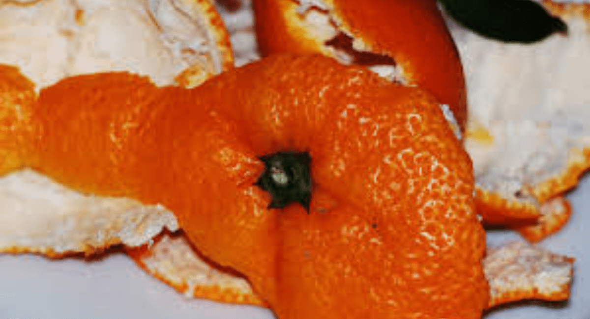 संतरे के छिलके का उपयोग और लाभ - Benefits of Orange Peel