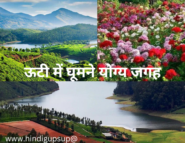 ऊटी में घूमने योग्य जगह - 7 Places to Visit in Ooty