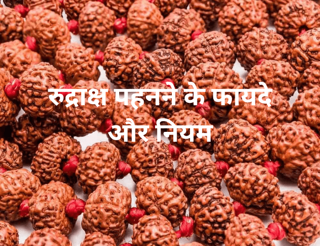 रुद्राक्ष पहनने के फायदे और नियम - Benefits and Rules of Wearing Rudraksha